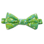 spring bud | classic bow tie