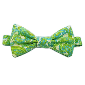 spring bud | classic bow tie